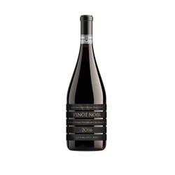 Pinot Noir Selection víno s D.S.C. 2016 suché 0,75l Martin Pomfy Mavín